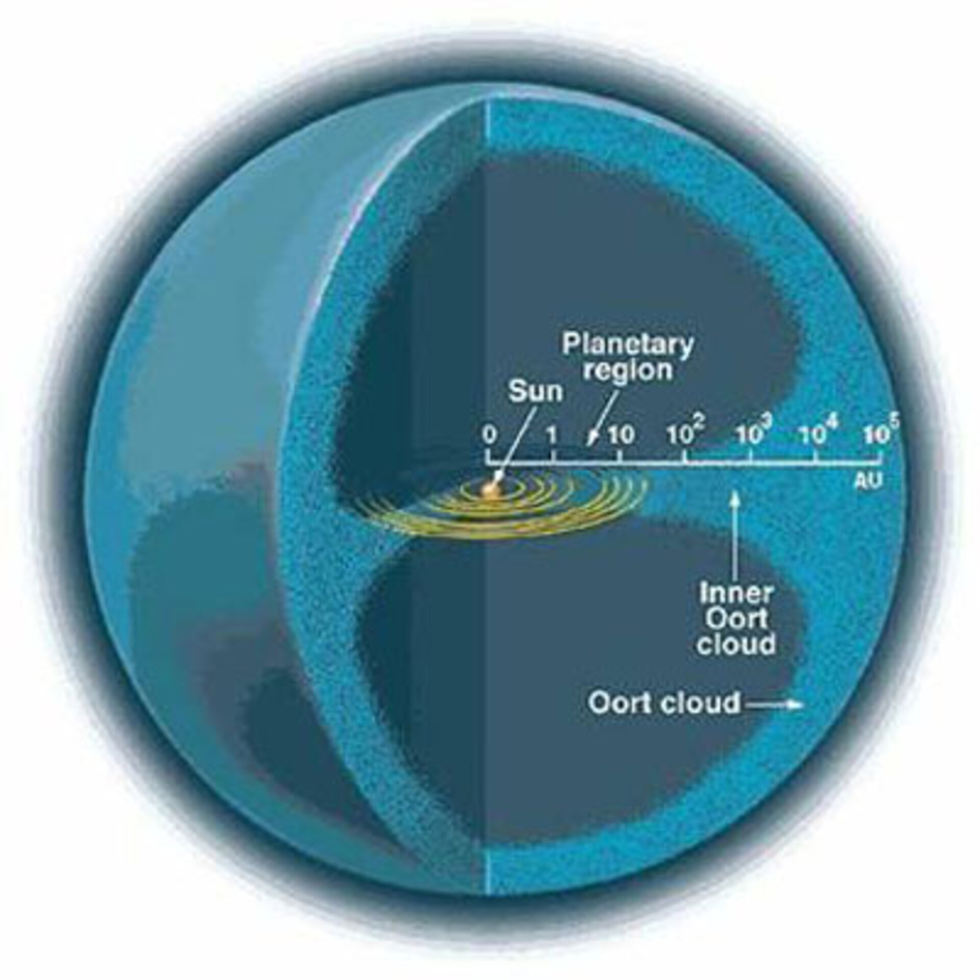 The Oort cloud