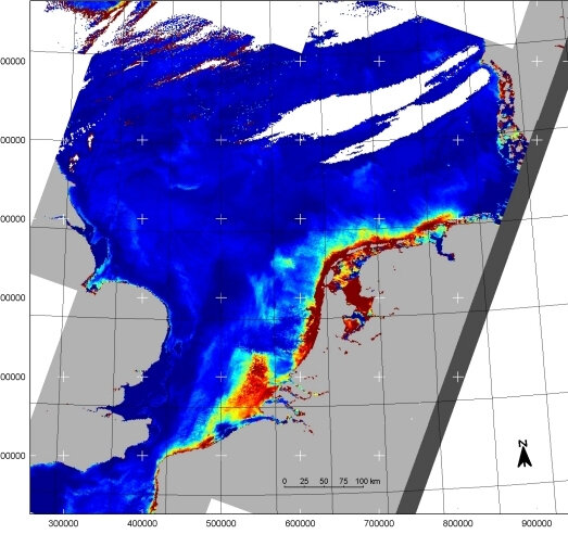 Chlorophyll-a concentrations in the Dutch coast