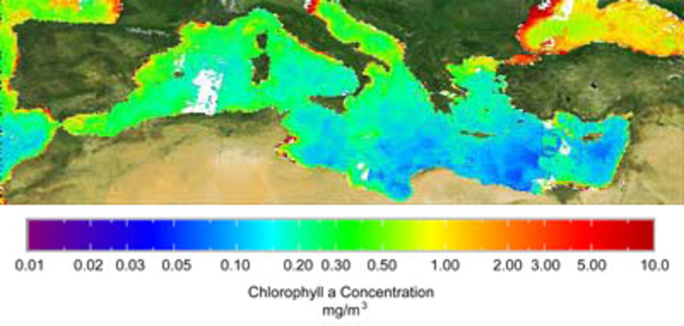 Grid computing shows changing Mediterranean chlorophyll levels