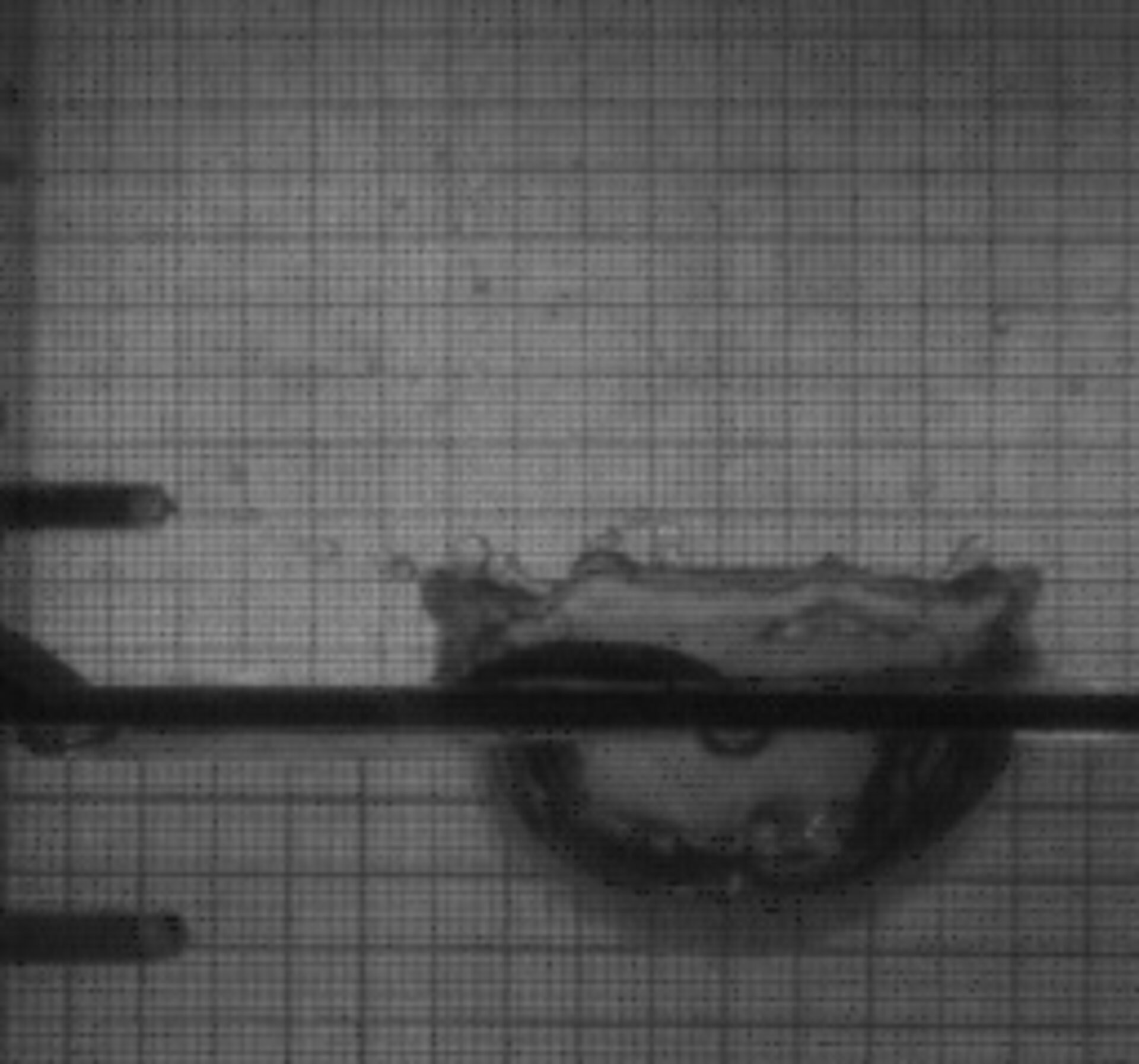 Impact on a drop on a fluid surface during the OLE experiment