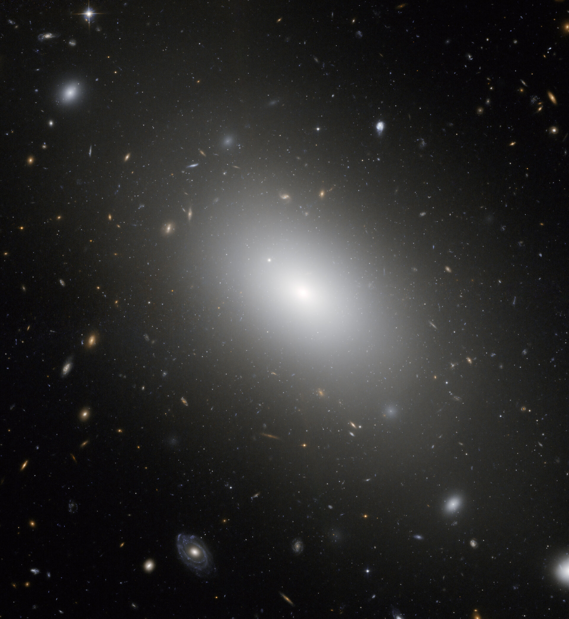 The gargantuan galaxy NGC 1132