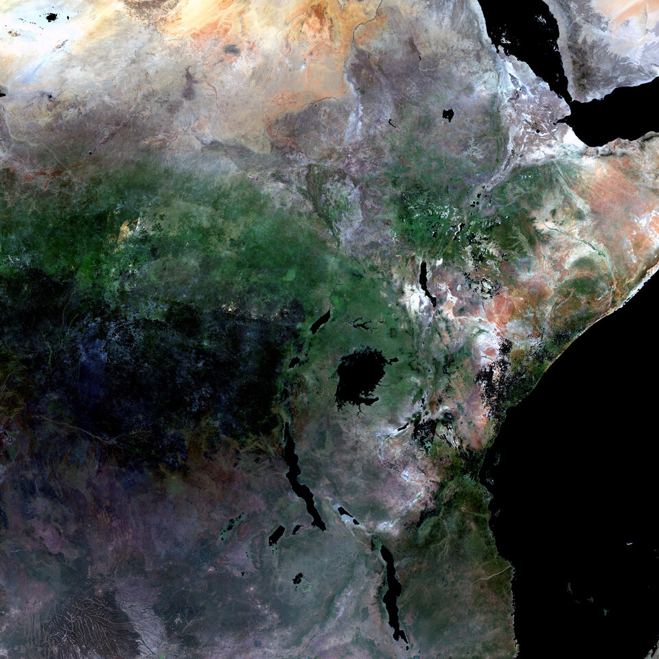Le "rift" africain, vu par Envisat d'une altitude de 800 km