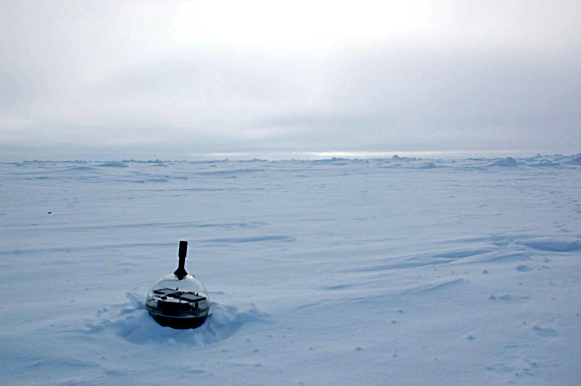 A buoy deployed onto sea ice