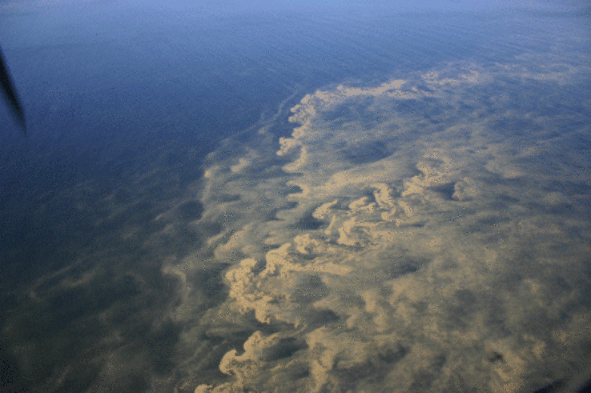 algal bloom in the Baltic (courtesy of Finnish Border Guard)