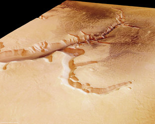 Echus Chasma, perspective view