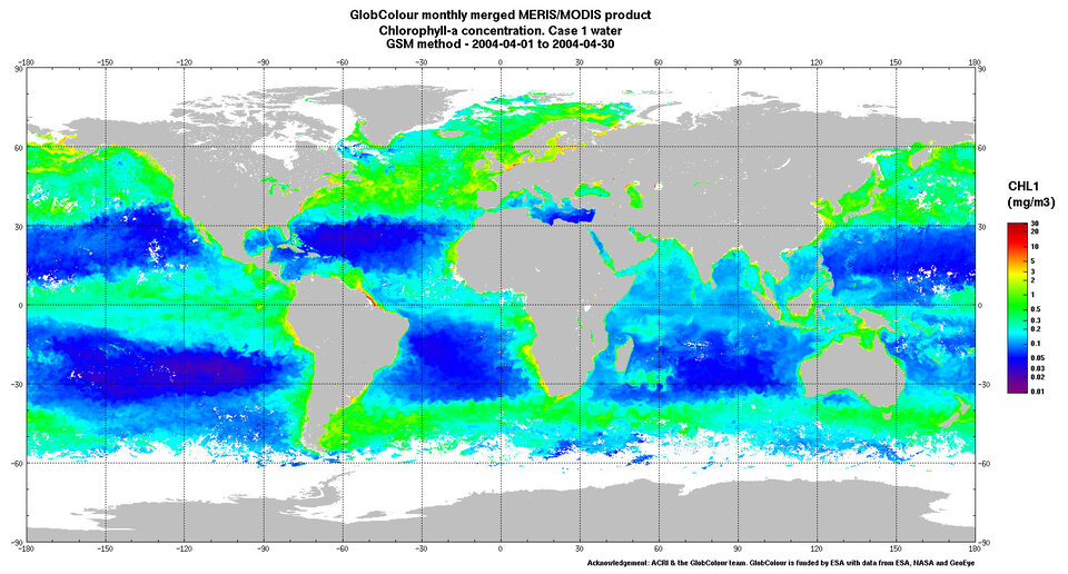 Global chlorophyll concentration from GlobColour