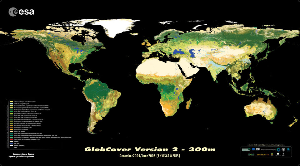 Envisat global land cover map