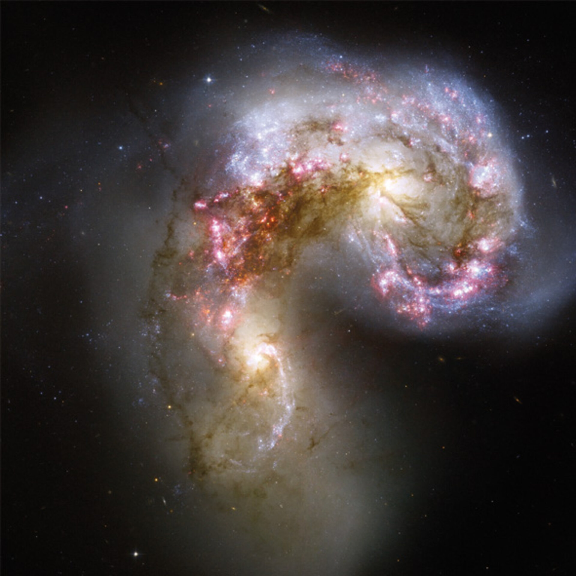 The Antennae galaxies.