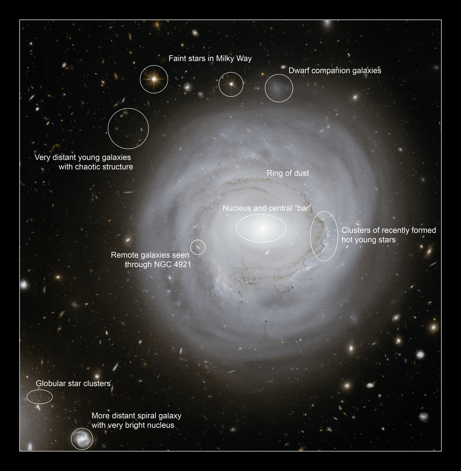 Annotated View of NGC 4921