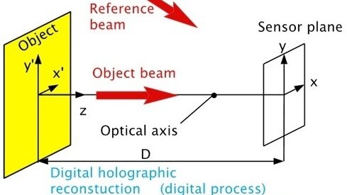 Digital holography setup