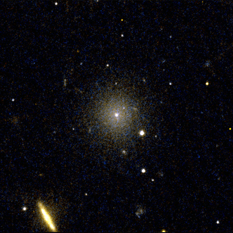 Perseus Dwarf Galaxy