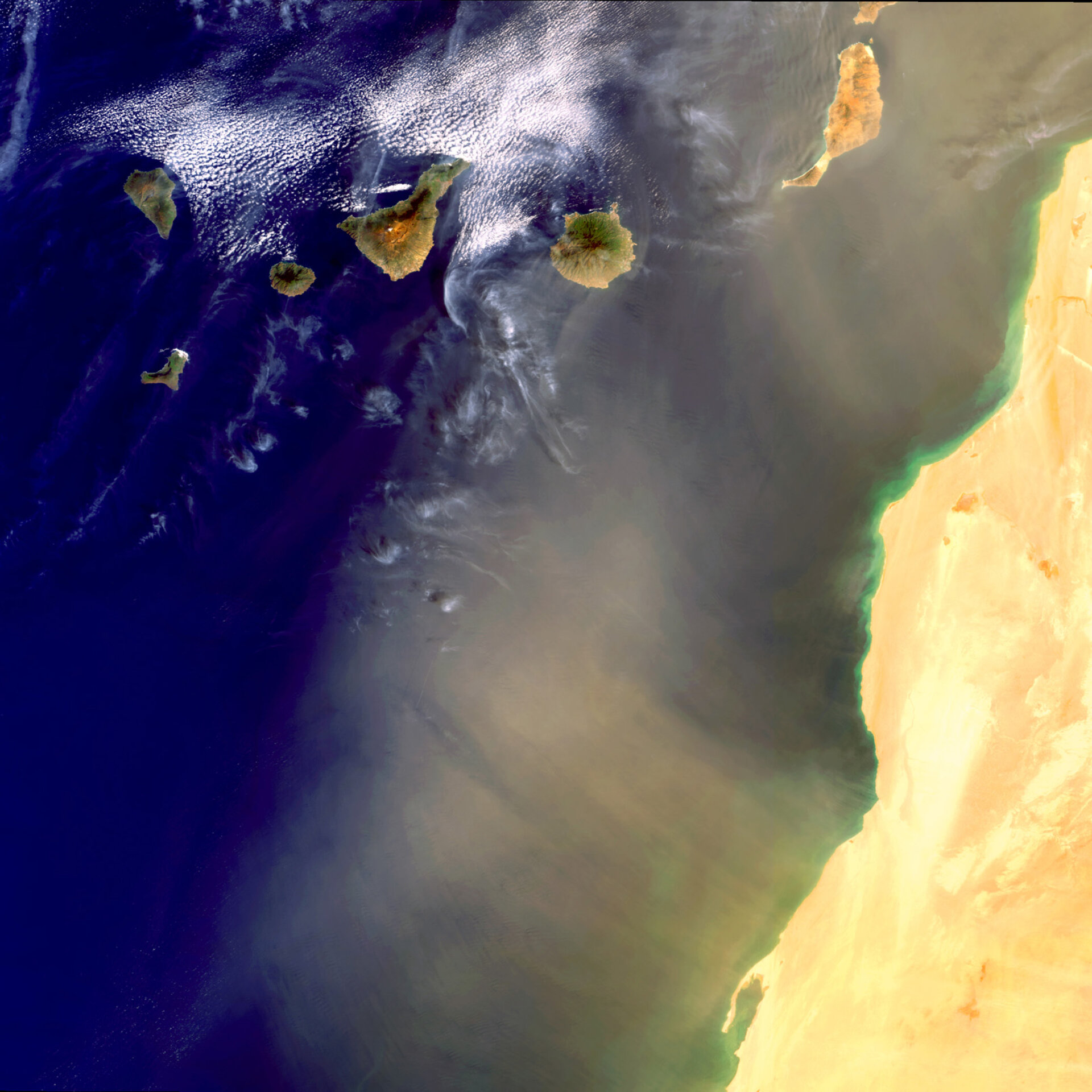 Desert dust seen from space