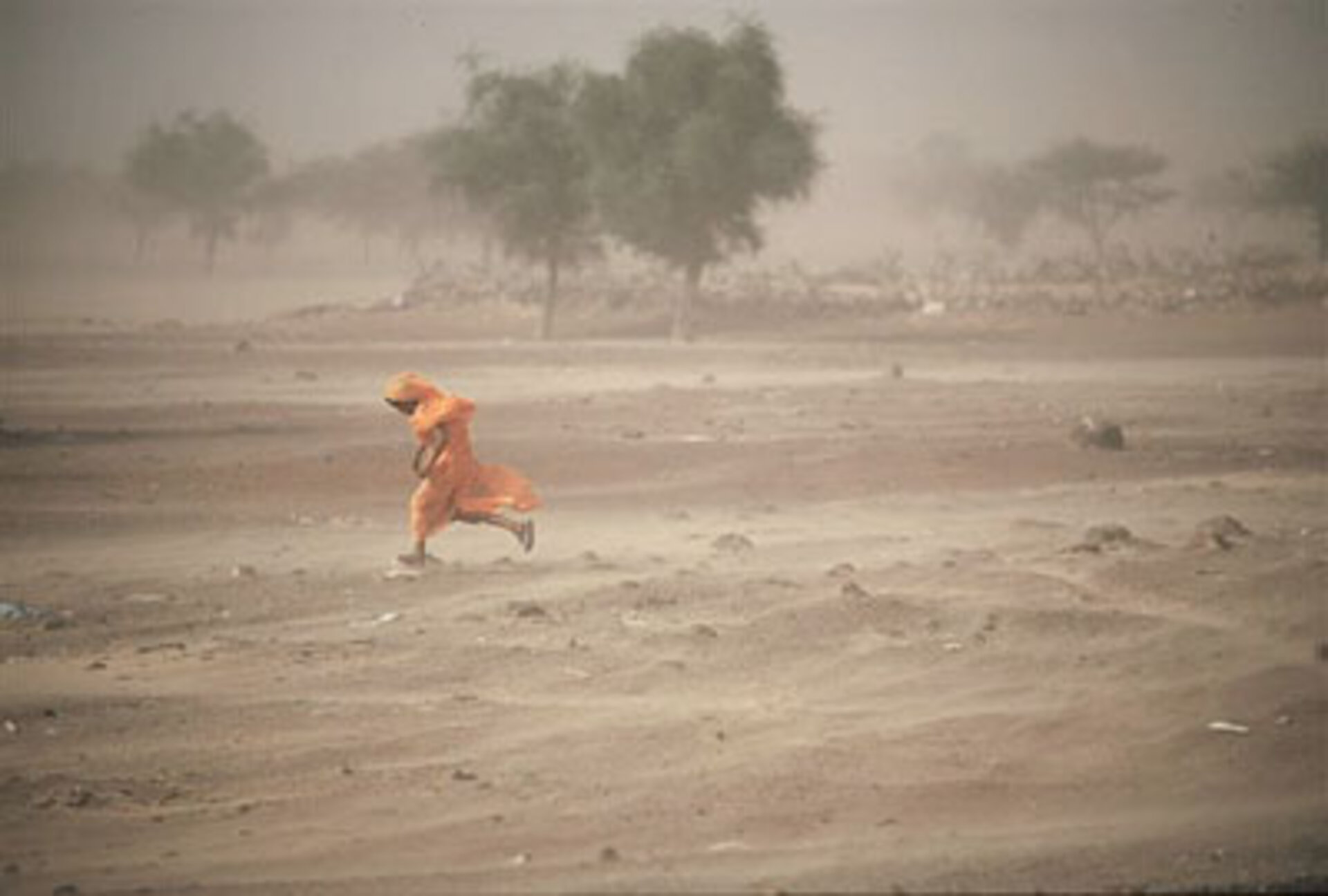 Bilde av ørkenspredning, tatt av fotografen Michael Martin