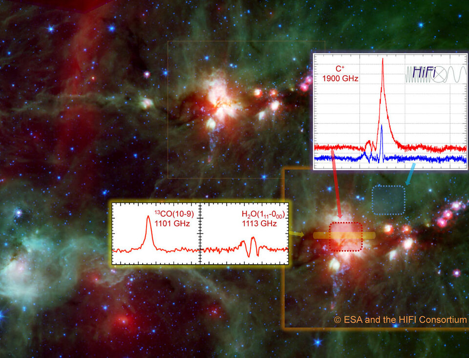 Ionised carbon, carbon monoxide, and water in star-forming region