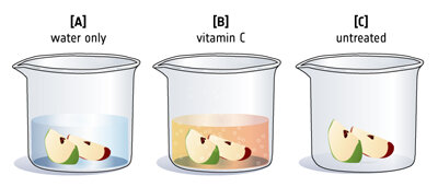 (A) Eau uniquement - (B) Vitamine C - (C) Non traitées