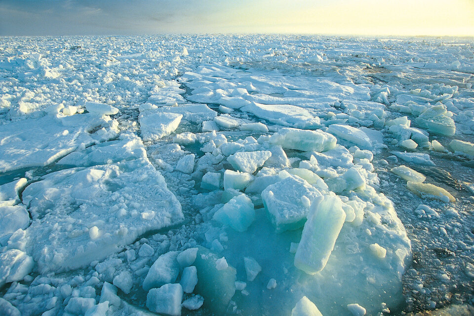 Hielo marino