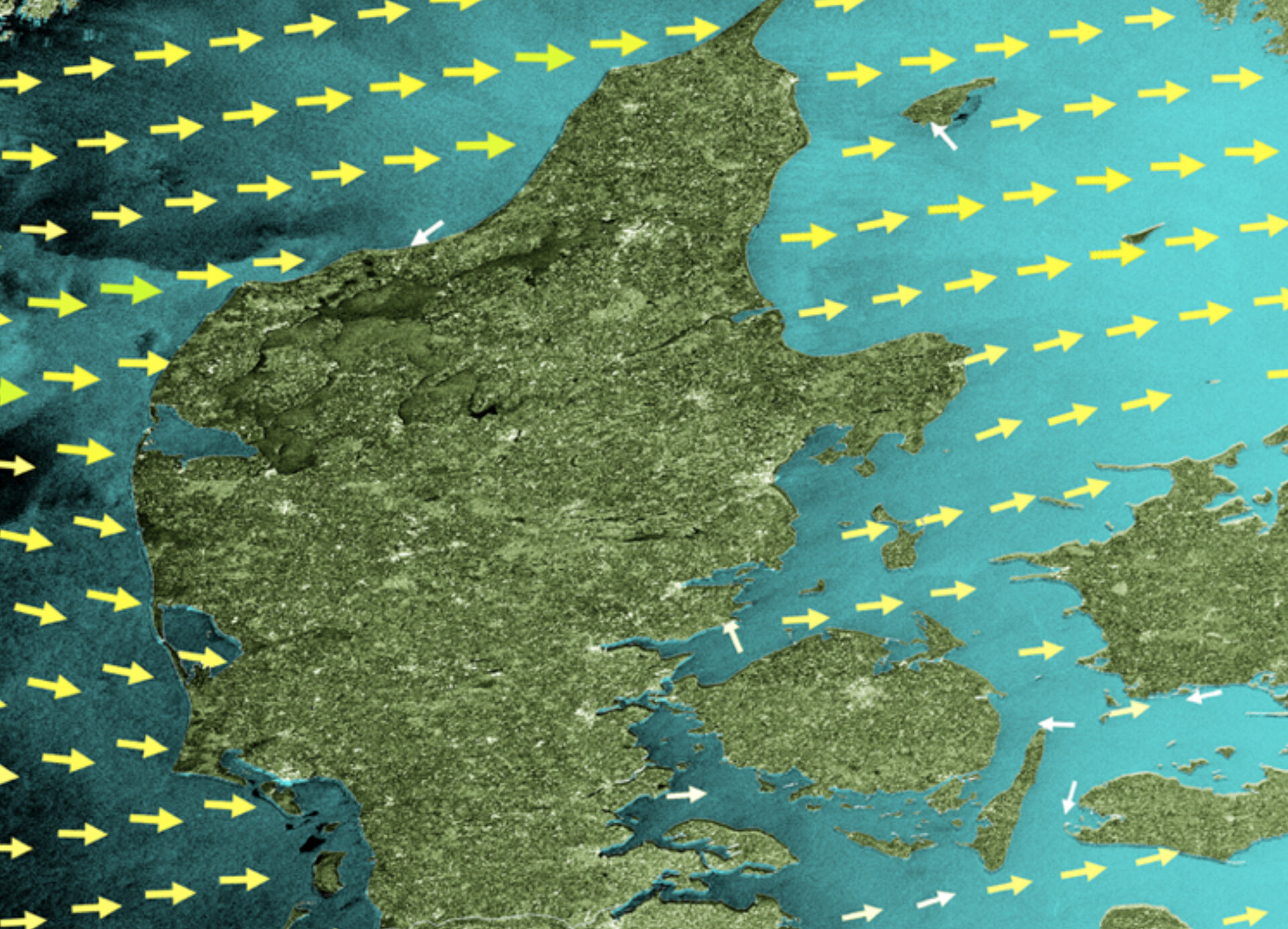 Wind field observations in Denmark