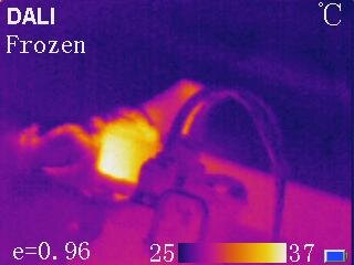 Infrared image showing the 'hot spot' inside CryoSat-2