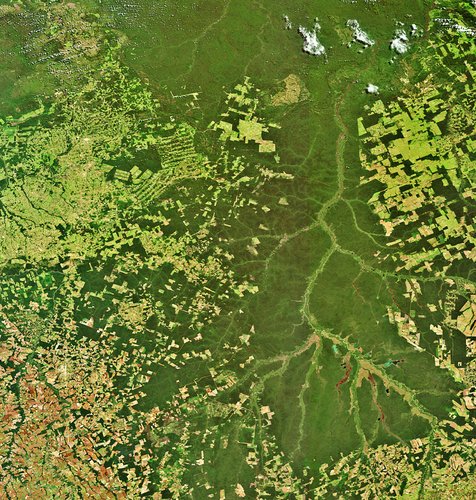 Climate change deforestation, Brazil