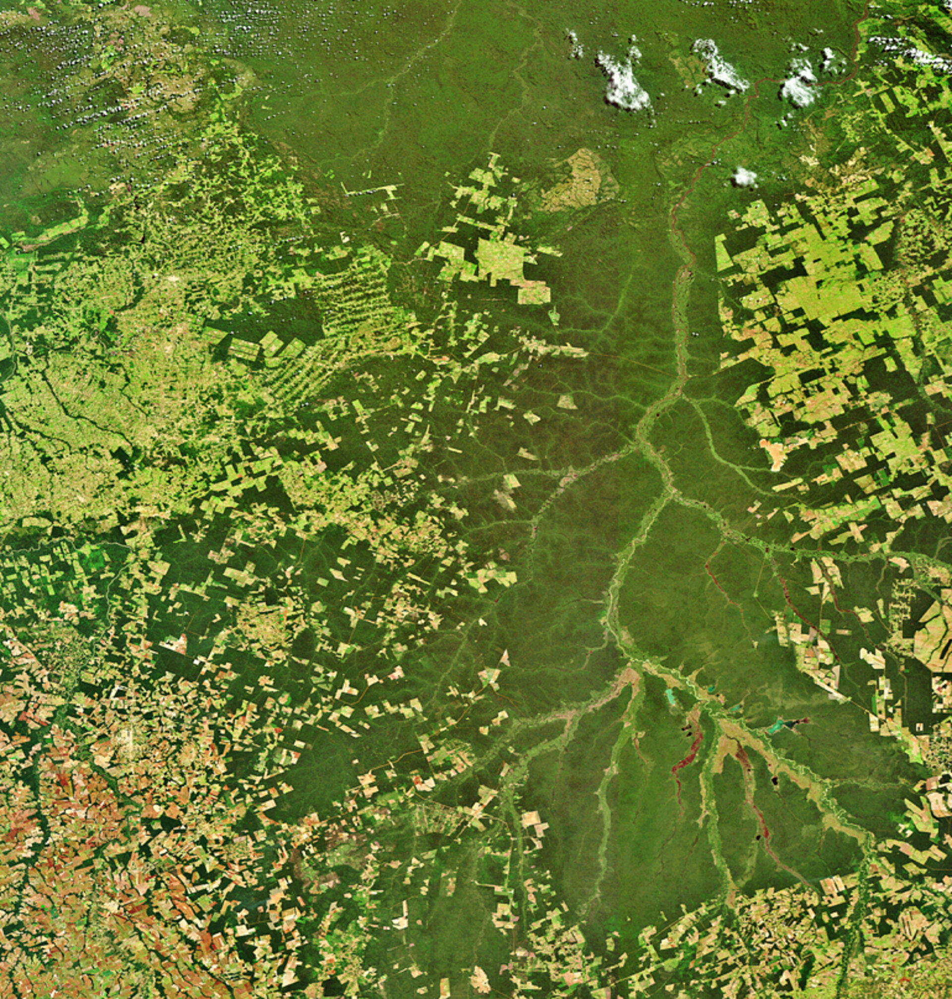 Climate change deforestation, Brazil