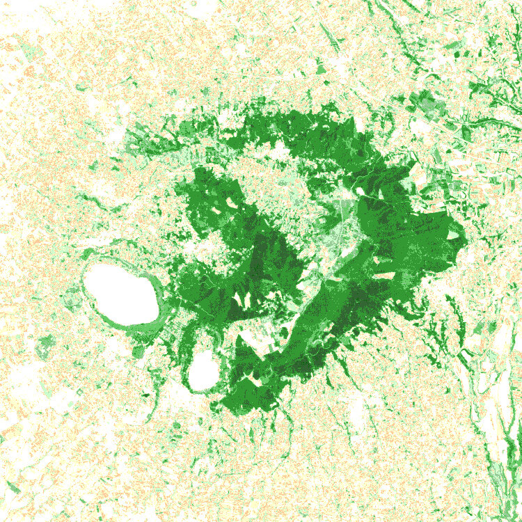 NDVI image for the Alban Hills
