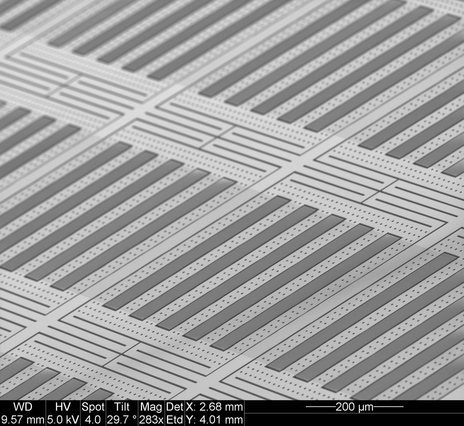 Microscopic view of the CDOE gratings