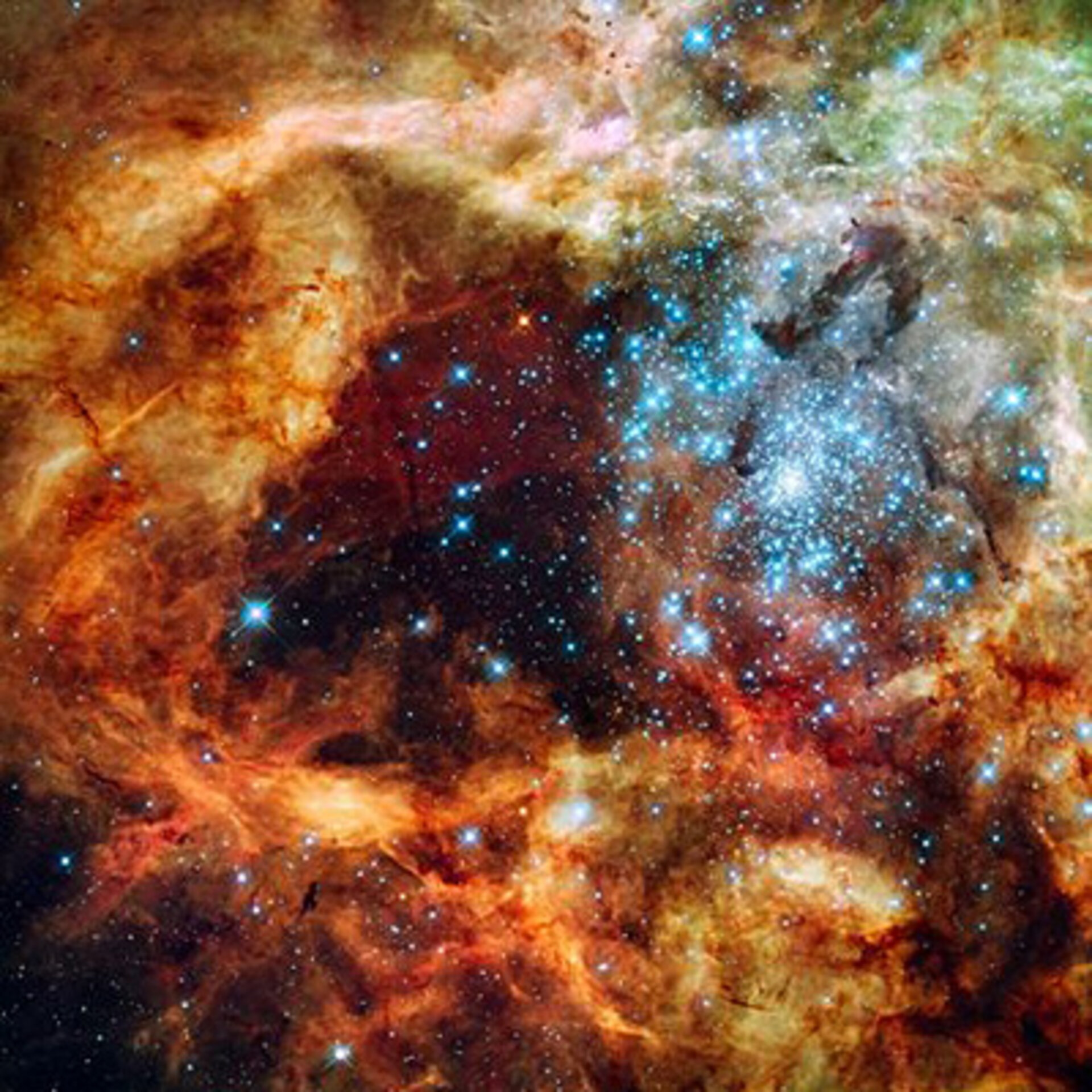La "ghirlanda fiorita" Stellar Cluster R136
