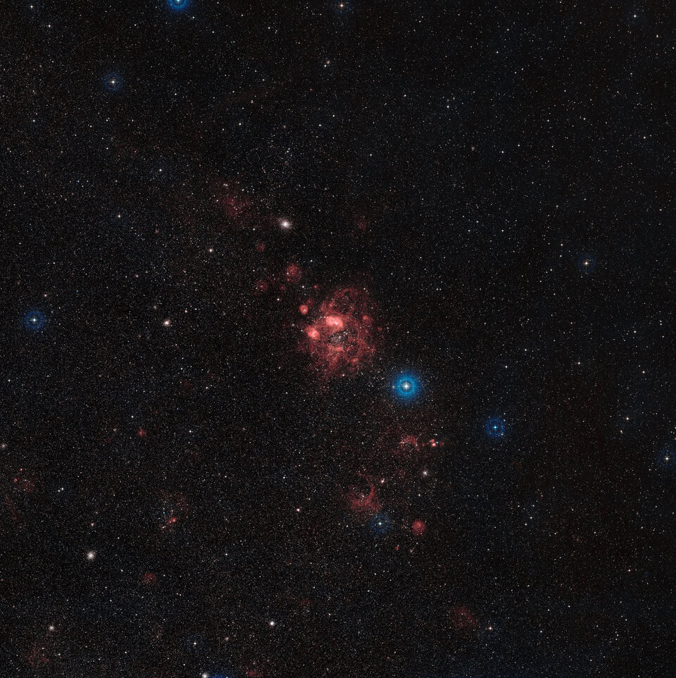 A wide-field view of the N11 star-forming region