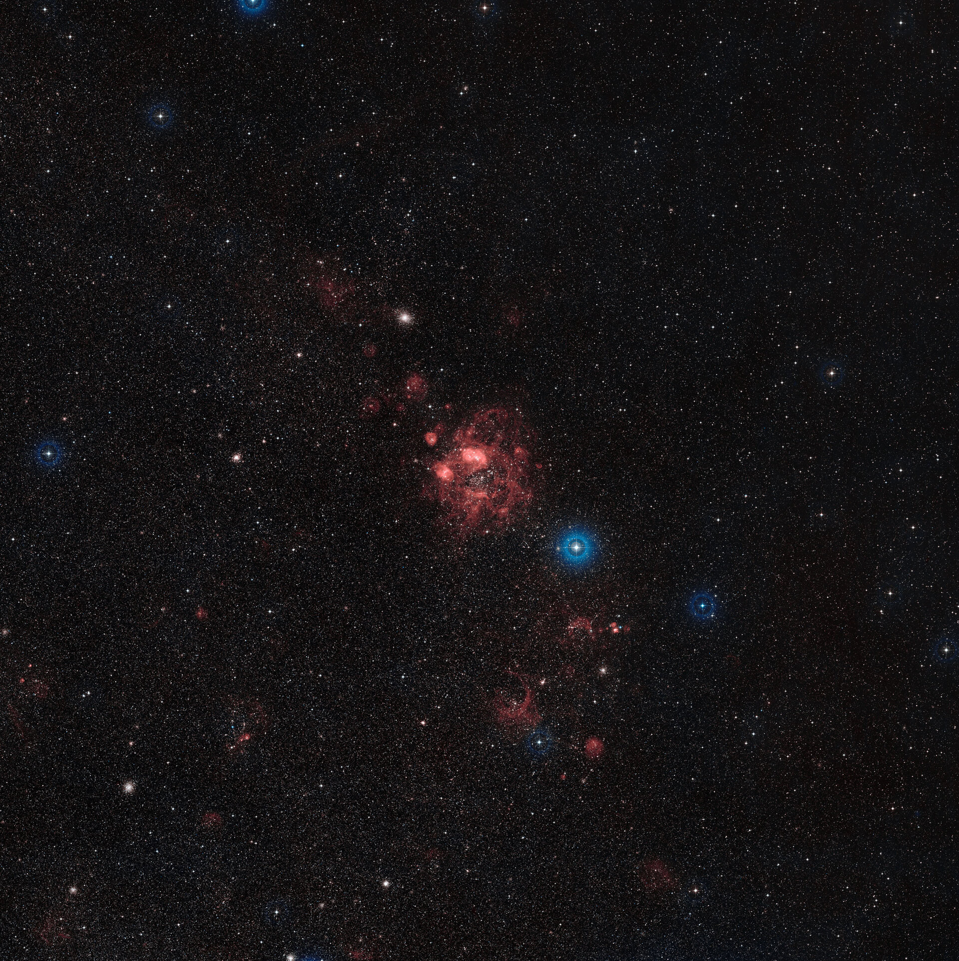 A wide-field view of the N11 star-forming region