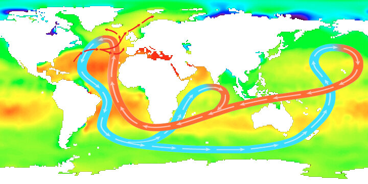 Salinidad media de las aguas superficiales y circulación oceánica