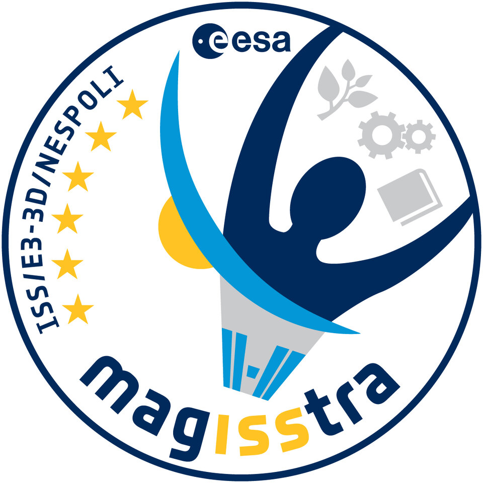 Logo der MagISStra-Mission