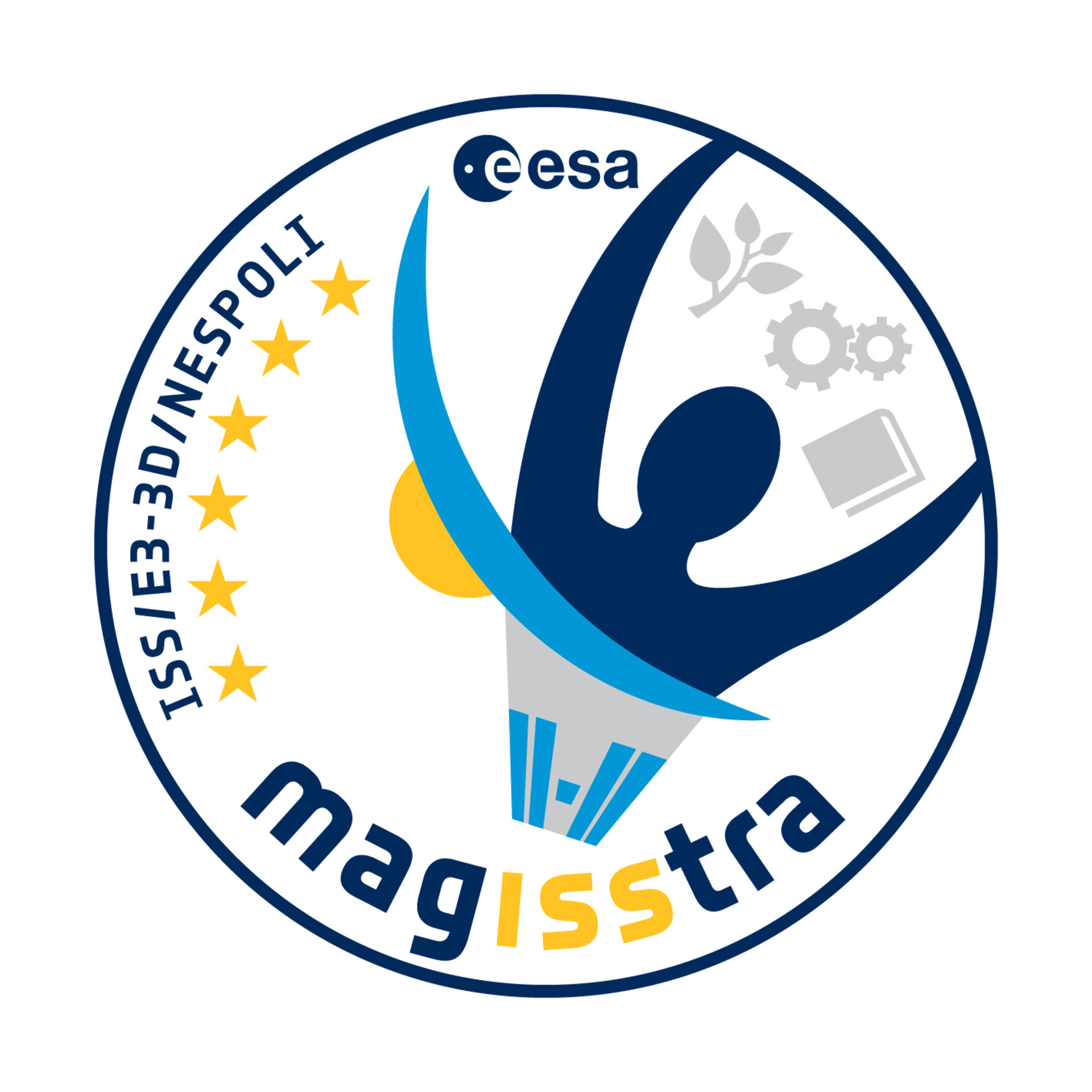 Il logo della missione MagISStra