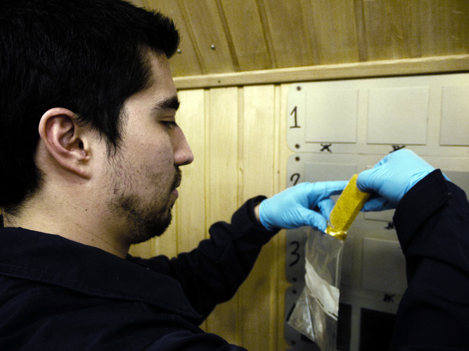 Diego Urbina packing a sample