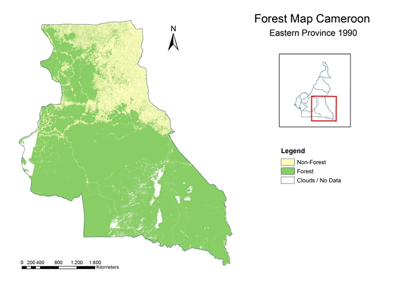 Cameroon forest area change maps