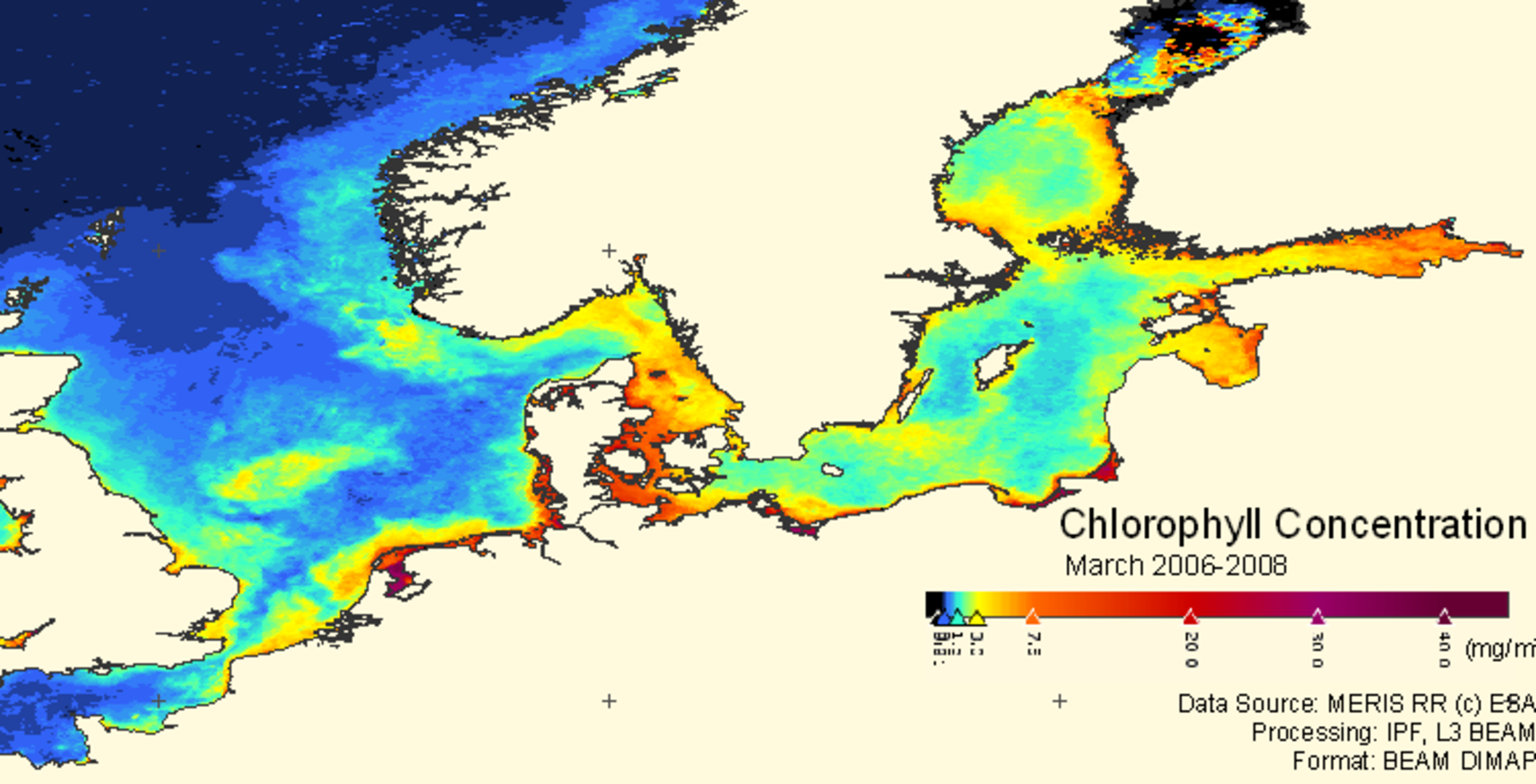 Chlorophyll derived from Envisat data