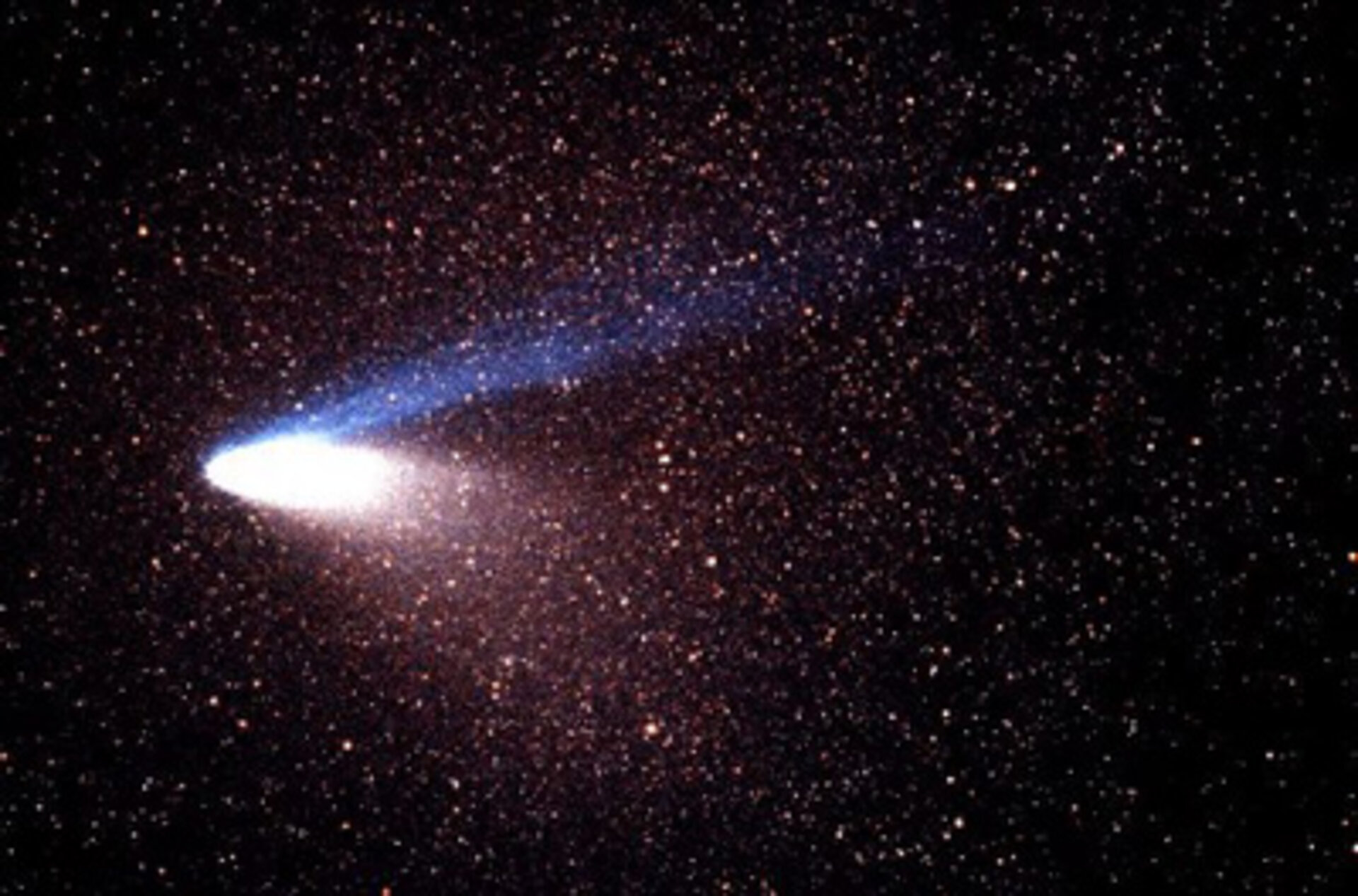 Der Komet Hale Bopp