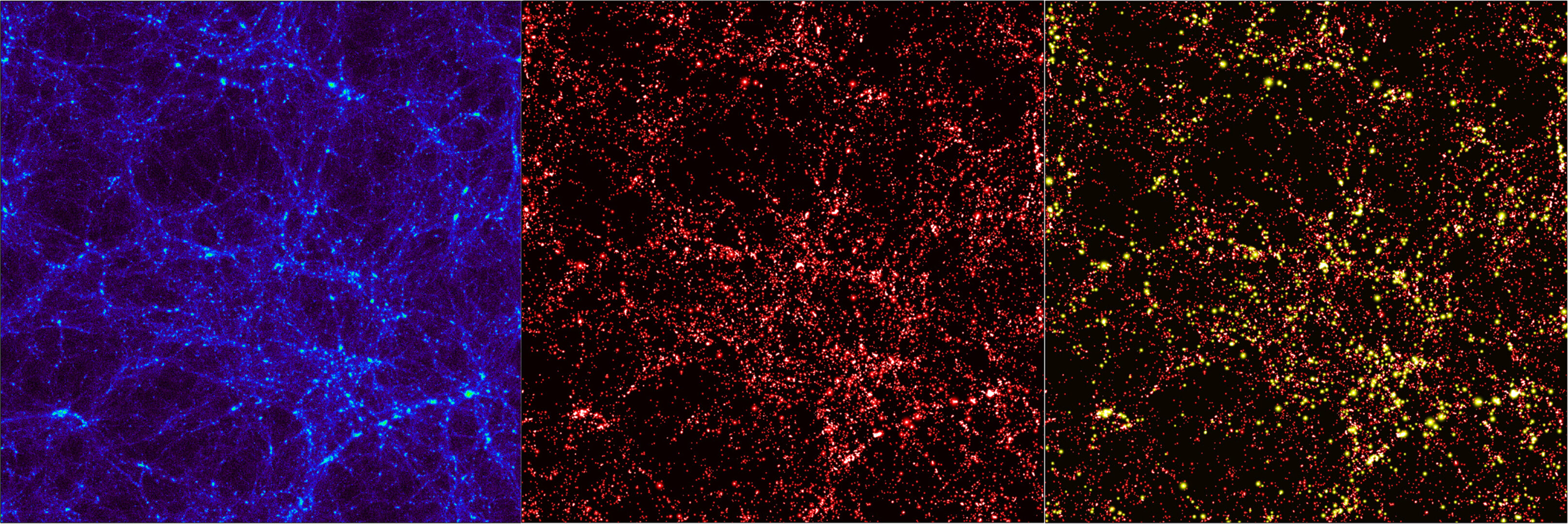 The calculated distribution of dark matter