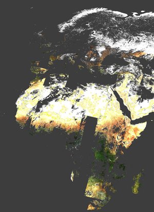 Weekly composite map