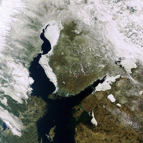 Baltic ice