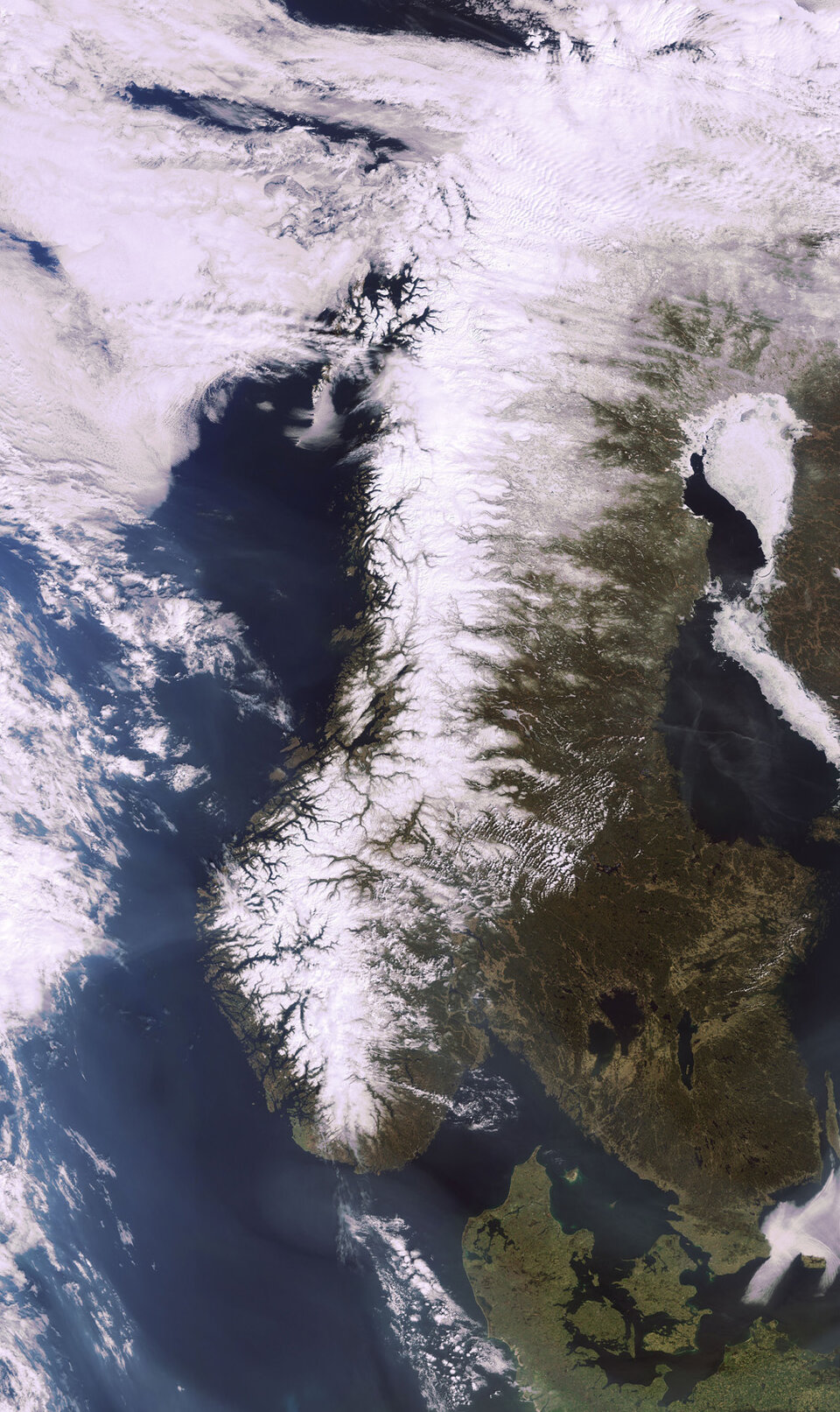 La península escandinava en primavera (MERIS)