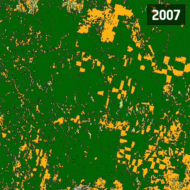 Forest changes in Russia