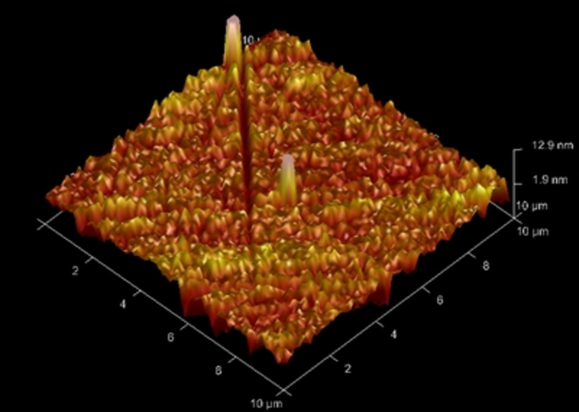 Atomic Force Microscope image