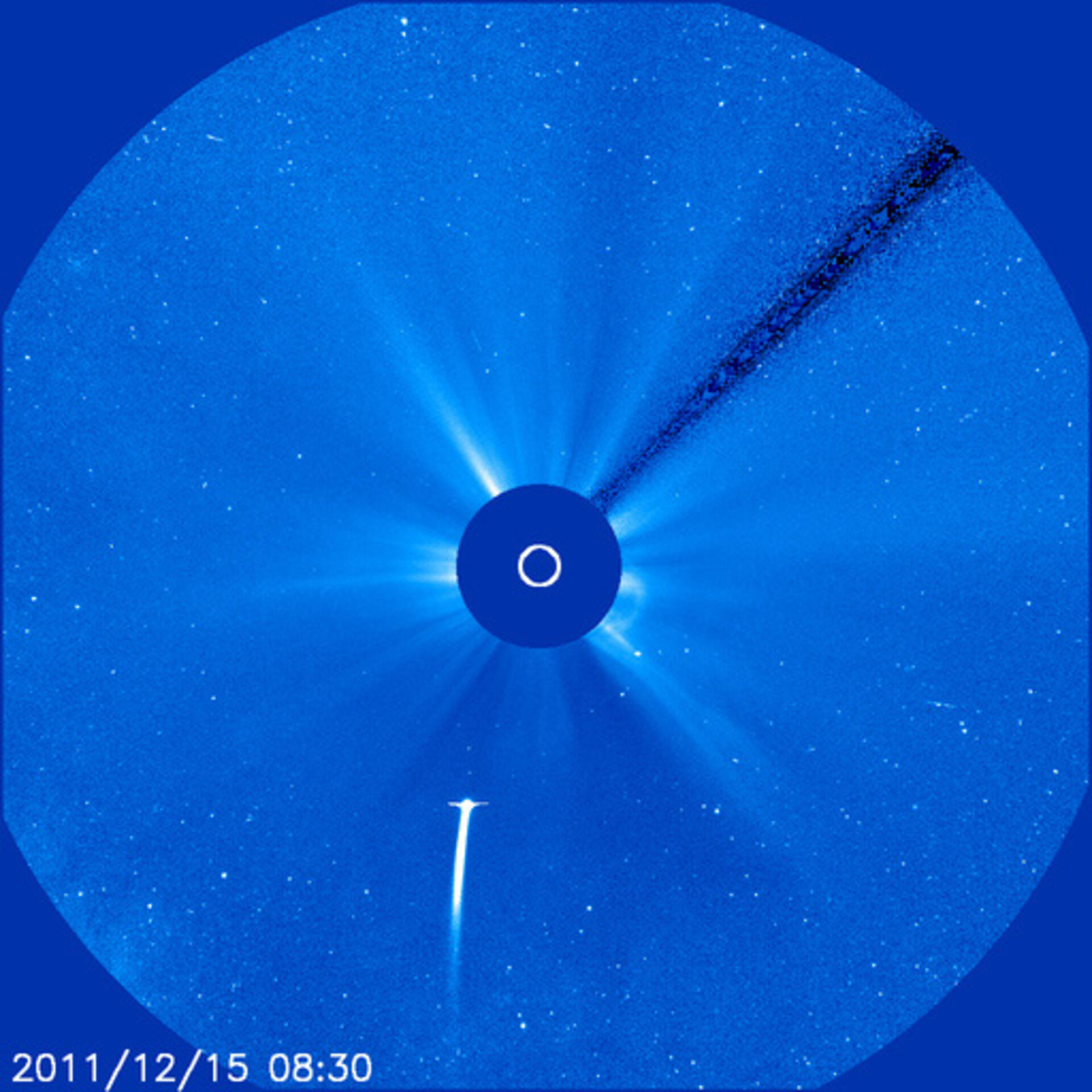Comet Lovejoy seen by SOHO