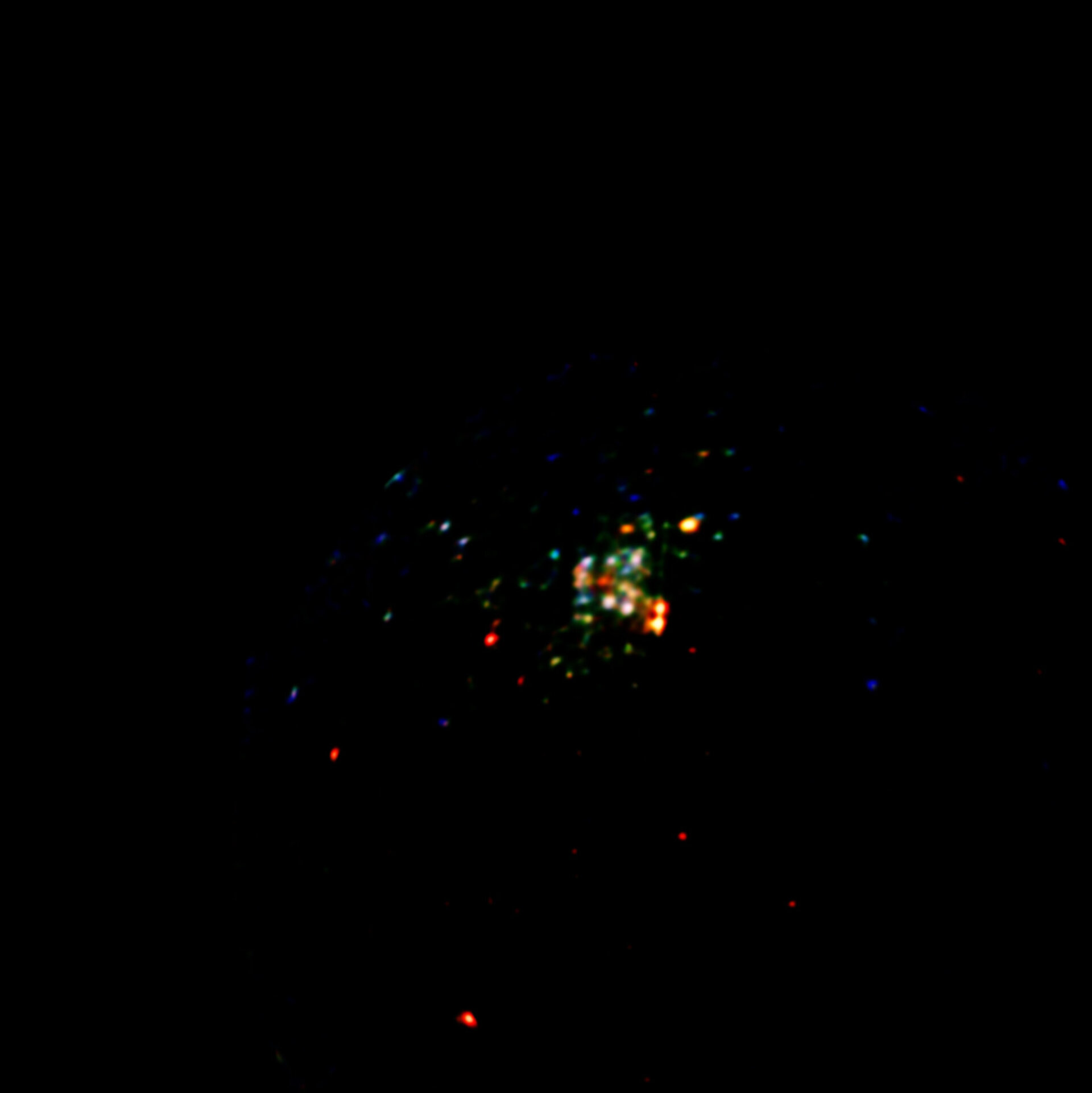 XMM-Newton: hot stars in X-rays