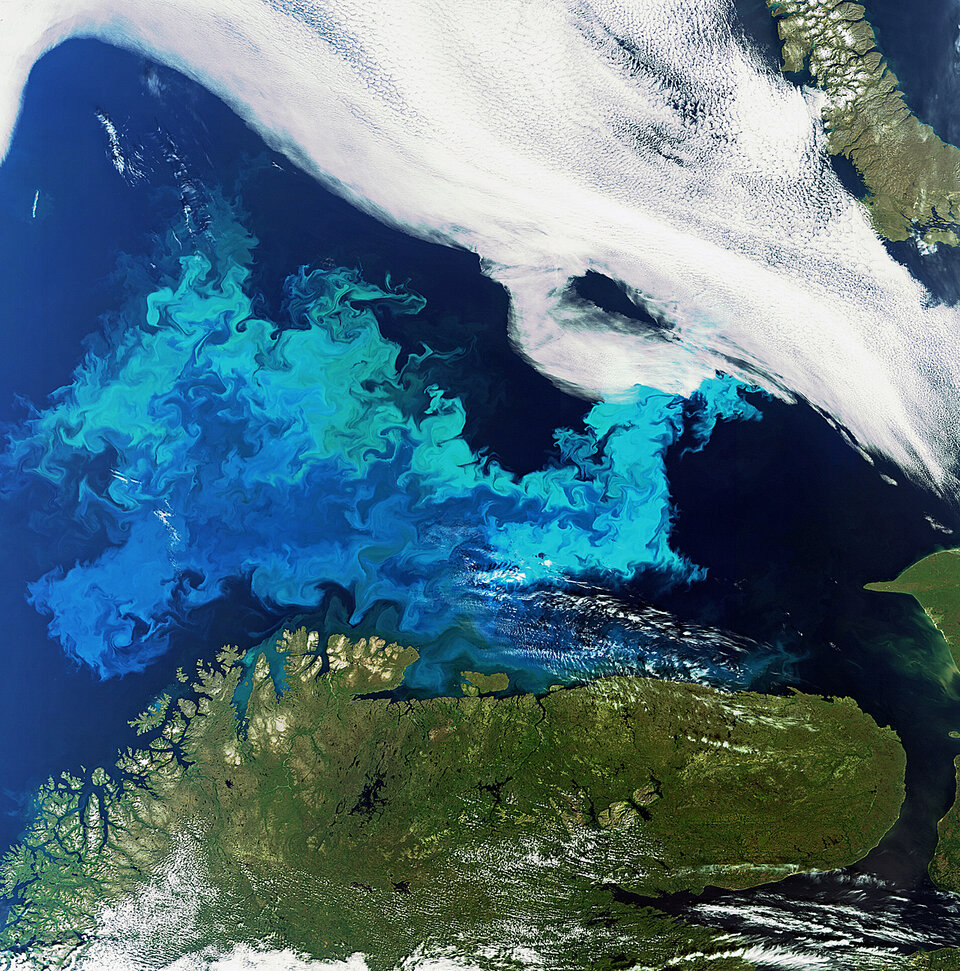 Efflorescence de plancton en mer de Barents