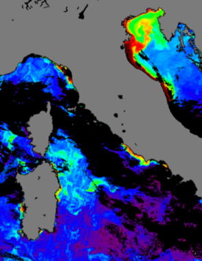 Clorofilla nel Mar Mediterraneo