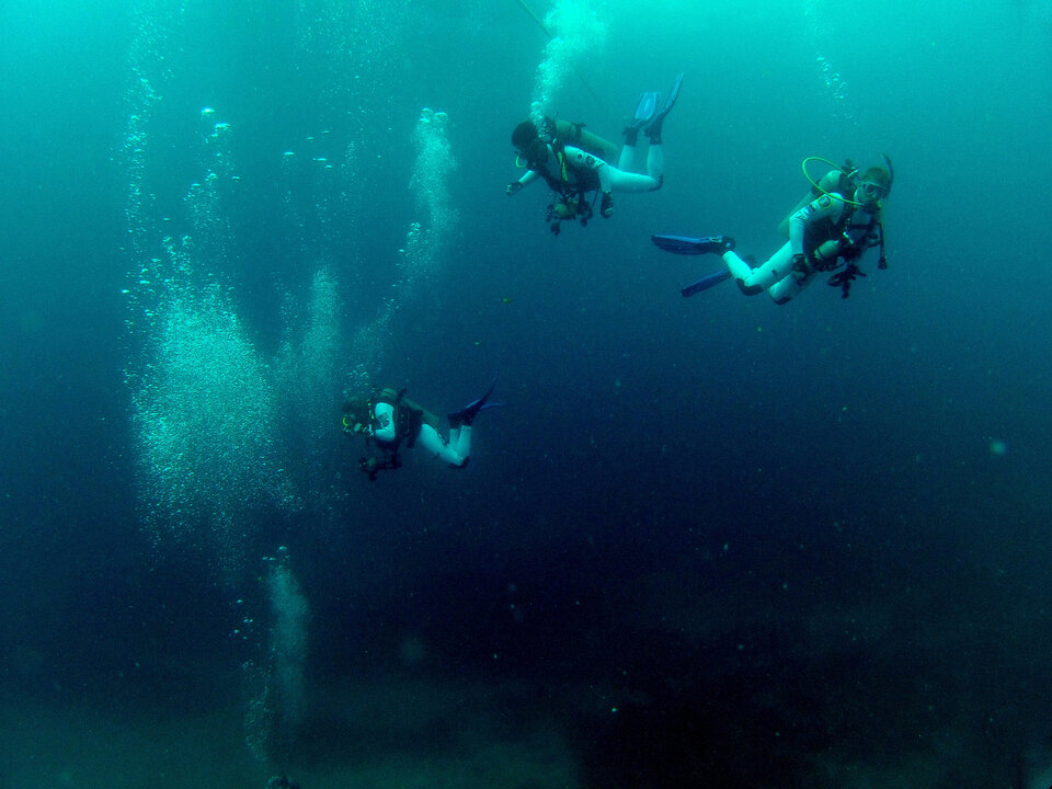 Neemo aquanauts