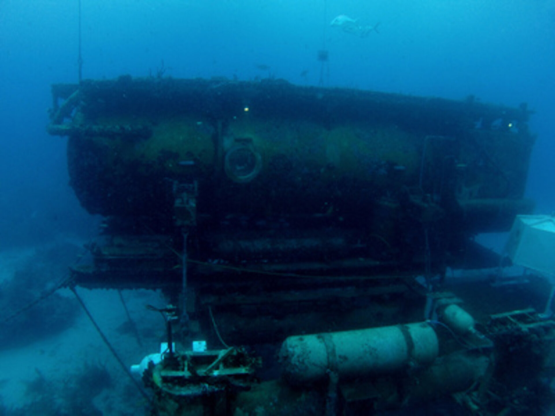 L'habitat sous-marin