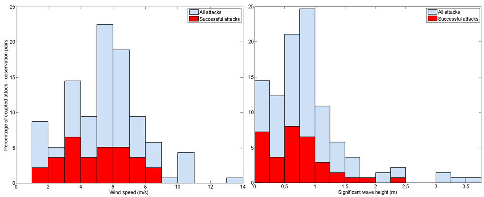 Wave height and attacks