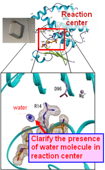 Abbildung 5. Perfekte Kristalle der H-PGDS-Inhibitorkomplexe